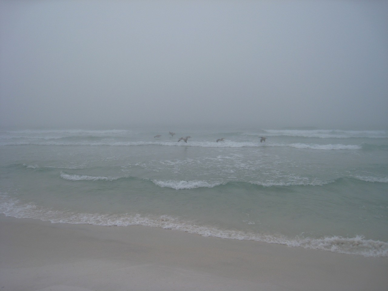 Vacation 2007-12 - Beaches Disney Hotels 0286.jpg - On the 2007-08 Florida vacation we visited beaches from Fort Myers to Sanibel Island sampling local food along the way. Green water and white sugar beaches! Arriving at Disney World we visited several of the theme resorts.